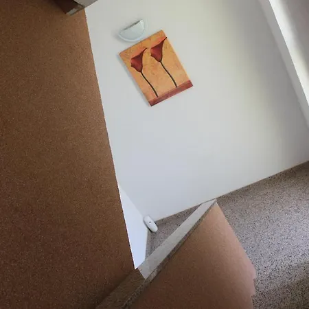 Apartment Tulumovic