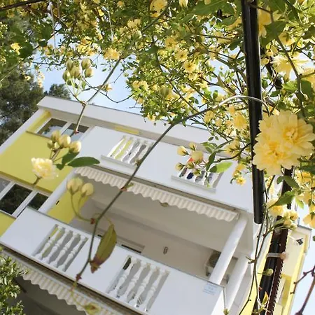 Apartment Tulumovic Zadar