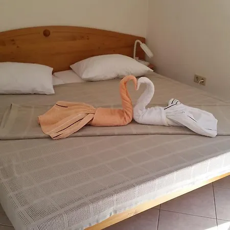 Tulumovic * Zadar